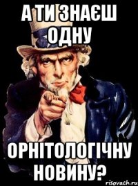 а ти знаєш одну орнітологічну новину?