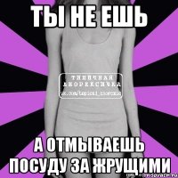 ты не ешь а отмываешь посуду за жрущими