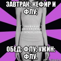 завтрак: кефир и флу; обед: флу; ужин: флу.