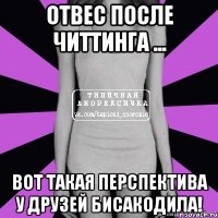 отвес после читтинга ... вот такая перспектива у друзей бисакодила!