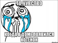 то чувство когда в доме появился котенок