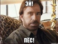 эй! пёс!