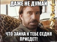 даже не думай что зайка к тебе седня приедет!
