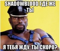 shadowblood где же ты я тебя жду. ты скоро?