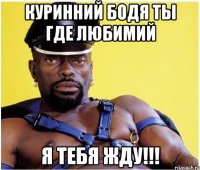 куринний бодя ты где любимий я тебя жду!!!