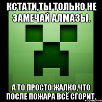 кстати,ты только не замечай алмазы. а то просто жалко,что после пожара всё сгорит.