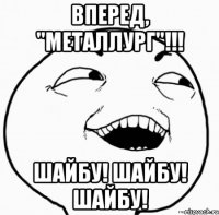 вперед, "металлург"!!! шайбу! шайбу! шайбу!