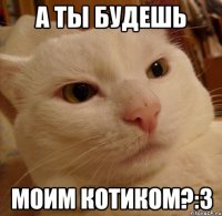 а ты будешь моим котиком?:3