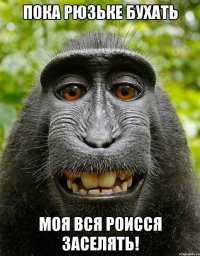 пока рюзьке бухать моя вся роисся заселять!