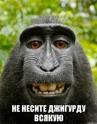  не несите джигурду всякую