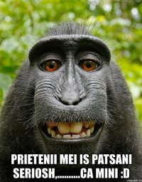  prietenii mei is patsani seriosh,..........ca mini :d