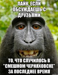 лайк, если обсуждаешь с друзьями то, что случилось в "смешном черняховске" за последнее время