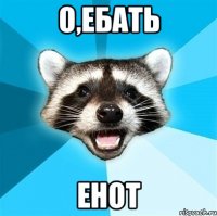 о,ебать енот