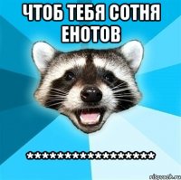 чтоб тебя сотня енотов *****************