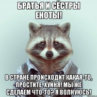 братья и сёстры еноты! в стране происходит какая-то, простите, хуйня! мы же сделаем что-то? я волнуюсь!