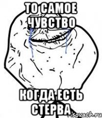 то самое чувство когда есть стерва