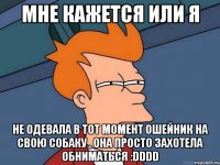 мне кажется или я не одевала в тот момент ошейник на свою собаку , она просто захотела обниматься :dddd