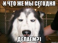 и что же мы сегодня делаем?)