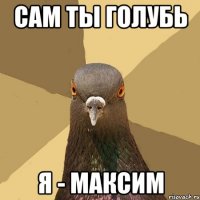 сам ты голубь я - максим