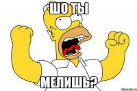 шо ты мелишь?