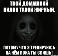 твой домашний пилон такой жирный, потому что я тренируюсь на нём пока ты спишь!