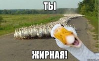 ты жирная!