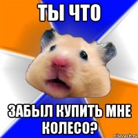 ты что забыл купить мне колесо?