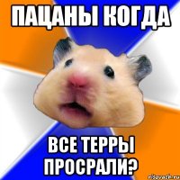 пацаны когда все терры просрали?