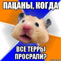 пацаны, когда все терры просрали?