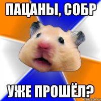 пацаны, собр уже прошёл?