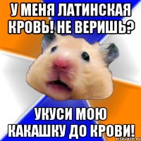 у меня латинская кровь! не веришь? укуси мою какашку до крови!