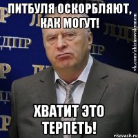 питбуля оскорбляют, как могут! хватит это терпеть!