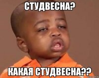 студвесна? какая студвесна??