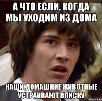 а что если, когда мы уходим из дома наши домашние животные устраивают вписку