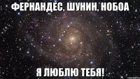 фернандес, шунин, нобоа я люблю тебя!