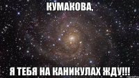 кумакова, я тебя на каникулах жду!!!