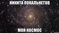 никита покальнетов мой космос