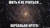 жить и не учиться ... нереально круто:*