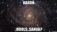 какой .:hools:.sanua?