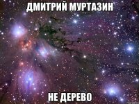 дмитрий муртазин не дерево