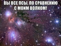 вы все псы, по сравнению с моим волком! 