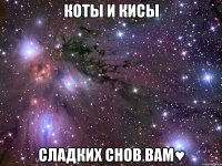 коты и кисы сладких снов вам♥