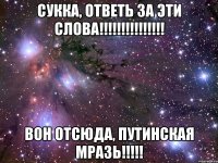 сукка, ответь за эти слова!!! вон отсюда, путинская мразь!!!