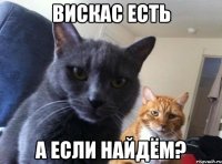 вискас есть а если найдём?