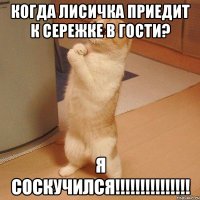 когда лисичка приедит к сережке в гости? я соскучился!!!