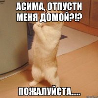 асима, отпусти меня домой?!? пожалуйста.....