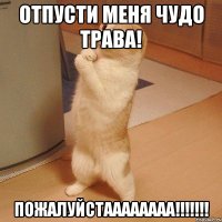 отпусти меня чудо трава! пожалуйстаааааааа!!!