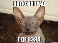 положи ipad где взял