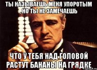 ты называешь меня упоротым , но ты не замечаешь что у тебя над головой растут бананы на грядке