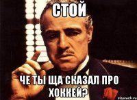 стой че ты ща сказал про хоккей?